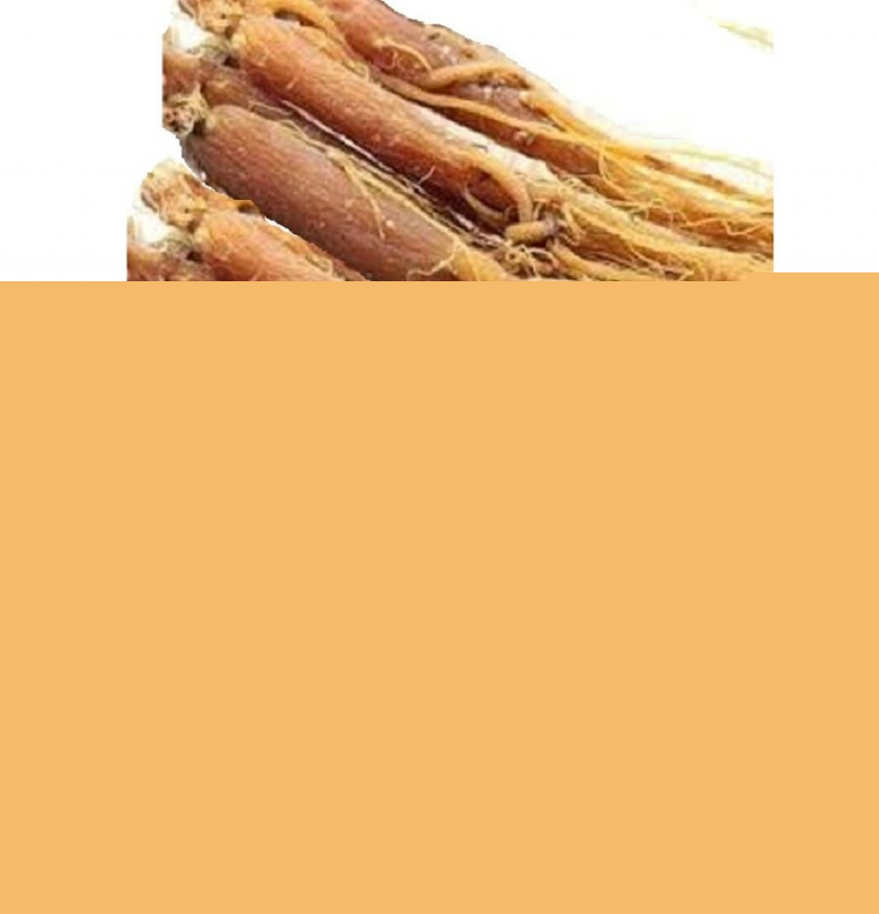 Ảnh minh họa - nguồn internet