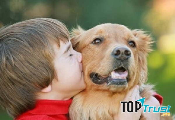 Tỏi giúp xua đuổi bọ chét trên lông thú cưng