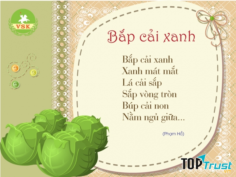 Bài thơ Bắp cải xanh