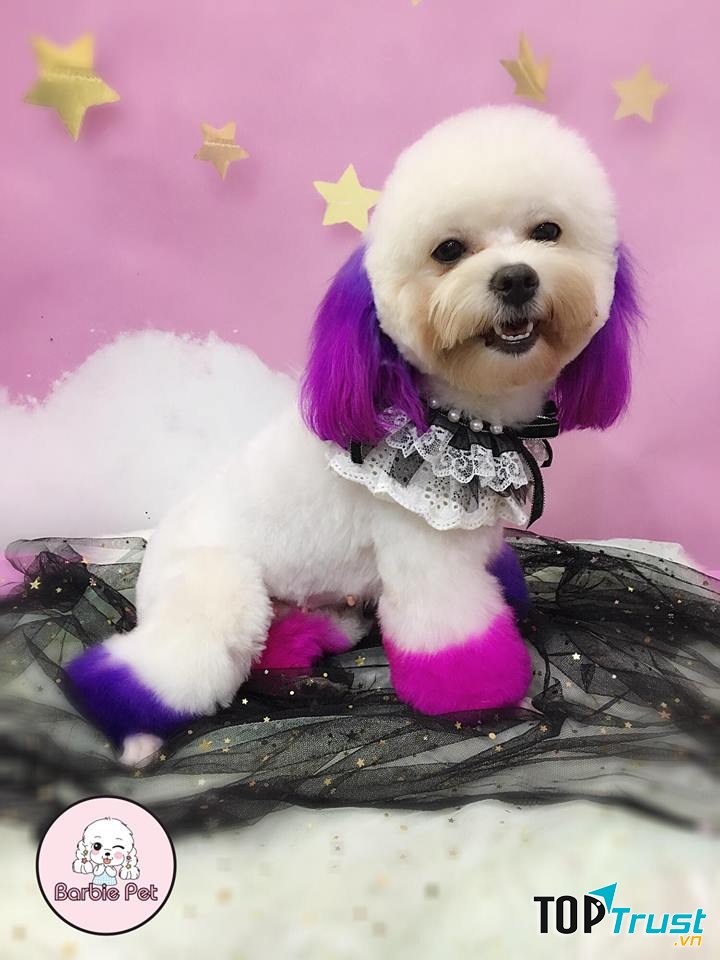 Barbie Pet Shop