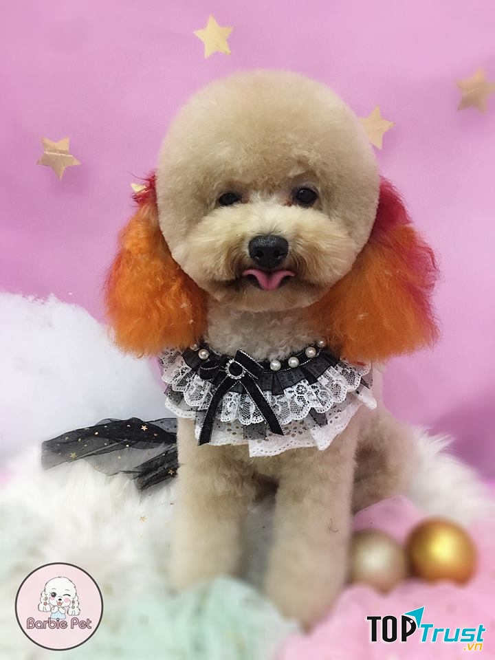 Barbie Pet Shop
