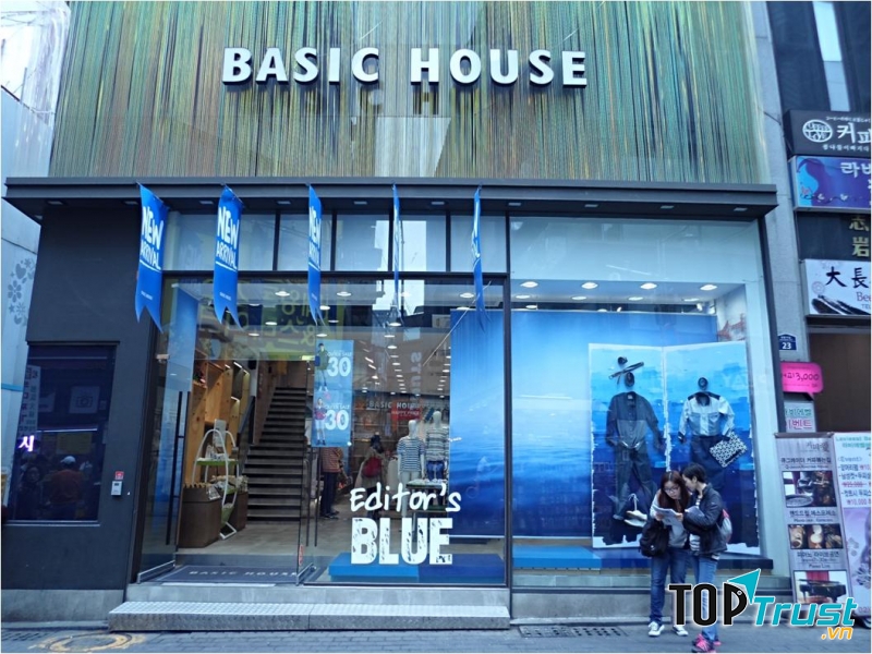 Basic House