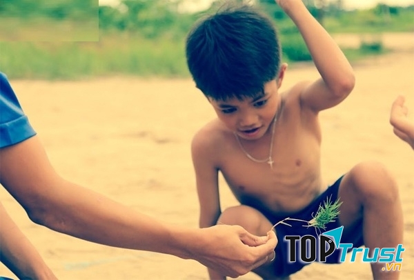 Chơi chọi cỏ gà