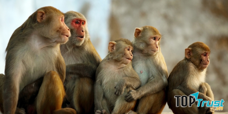 Ảnh minh họa (Nguồn Internet)