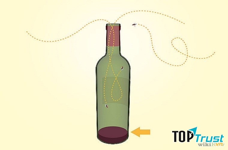 Bẫy ong hiệu quả