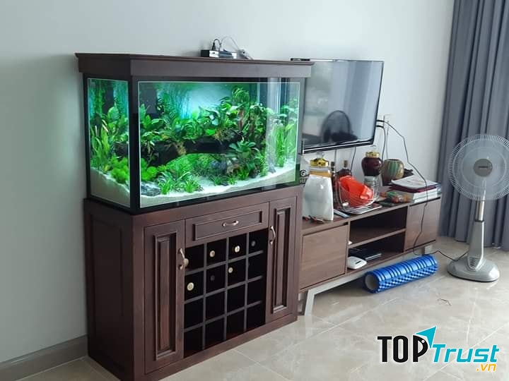 Đến với cửa hàng bể cá phong thủy tại Hải Phòng là địa chỉ chuyên cung cấp các loại bể cá cảnh đẹp uy tín giá tốt nhất