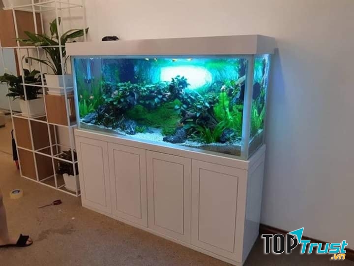 Cùng với kinh nghiệm và kiến thức được trau dồi của đội ngũ nhân viên bán hàng sẽ giúp khách hàng lựa chọn được loại bể cá phù hơp với khách hàng đem lại tài lộc sức khỏe cho cả gia đình