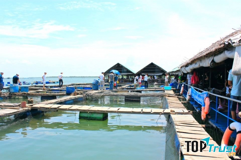 Bè Hào Đực Nhỏ Long Sơn