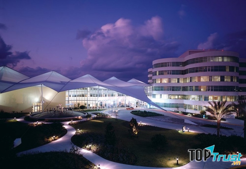 Bệnh viên của con người và các loài chim