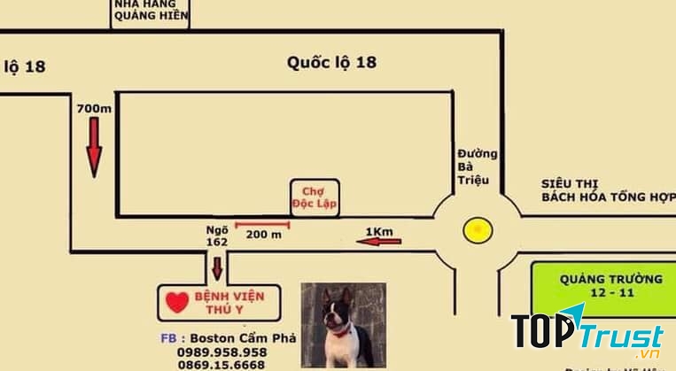 Bệnh viện Thú Y Cẩm Phả