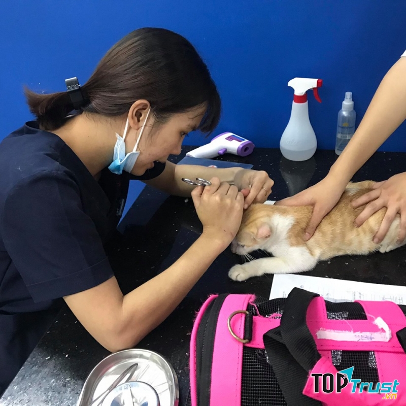 Bệnh viện thú y DANANGPET