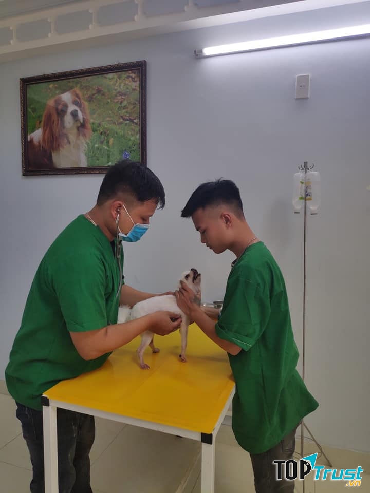 Bệnh viện thú y Funpet