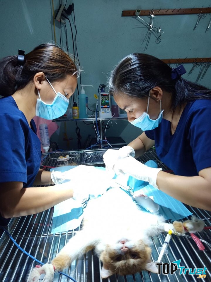 Bệnh Viện Thú Y Okada Pet