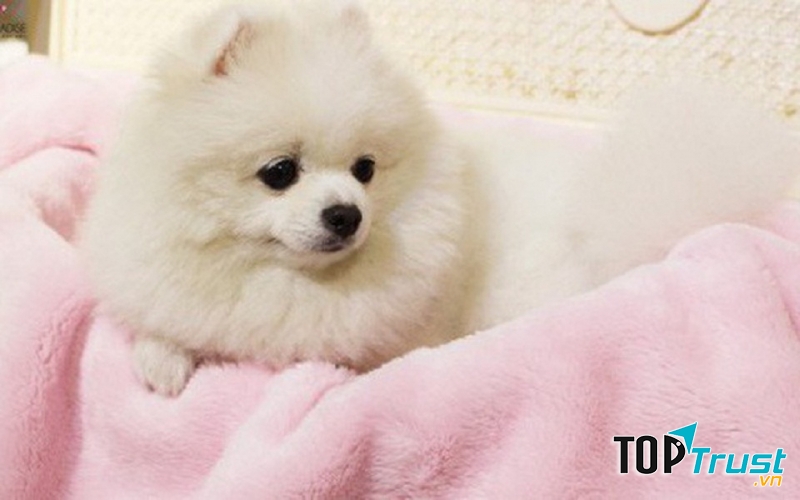 Tắm xong thật là thoải mái