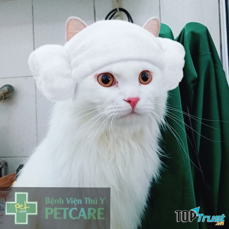 Bệnh Viện Thú Y PETCARE