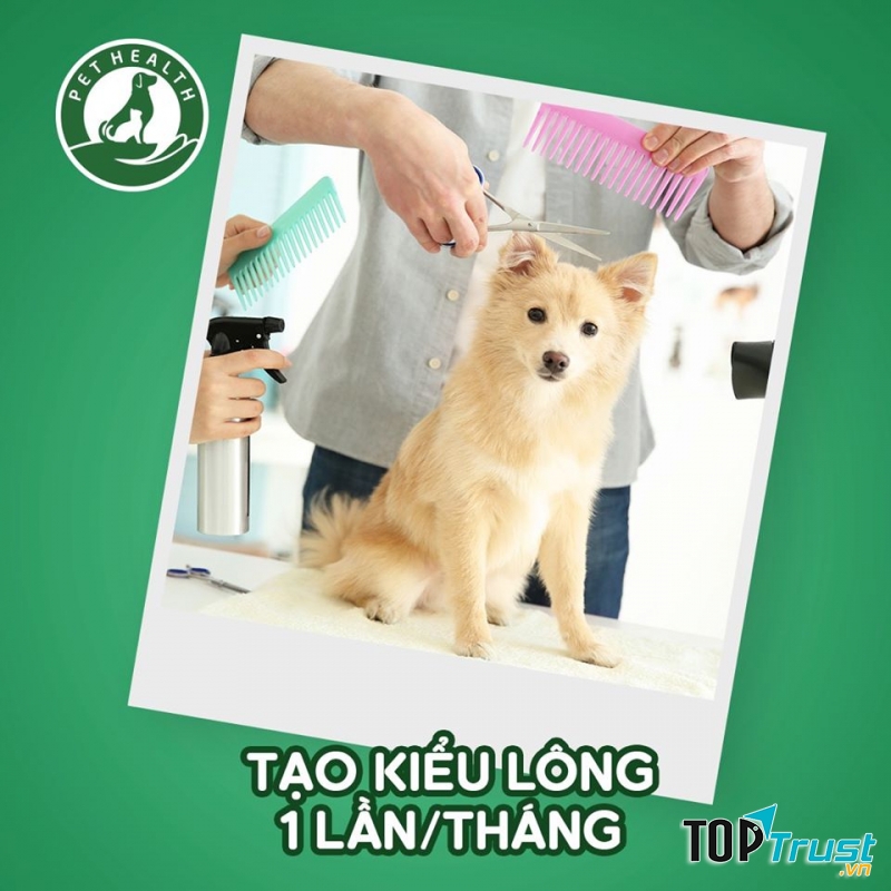 Bệnh viện thú y Pethealth