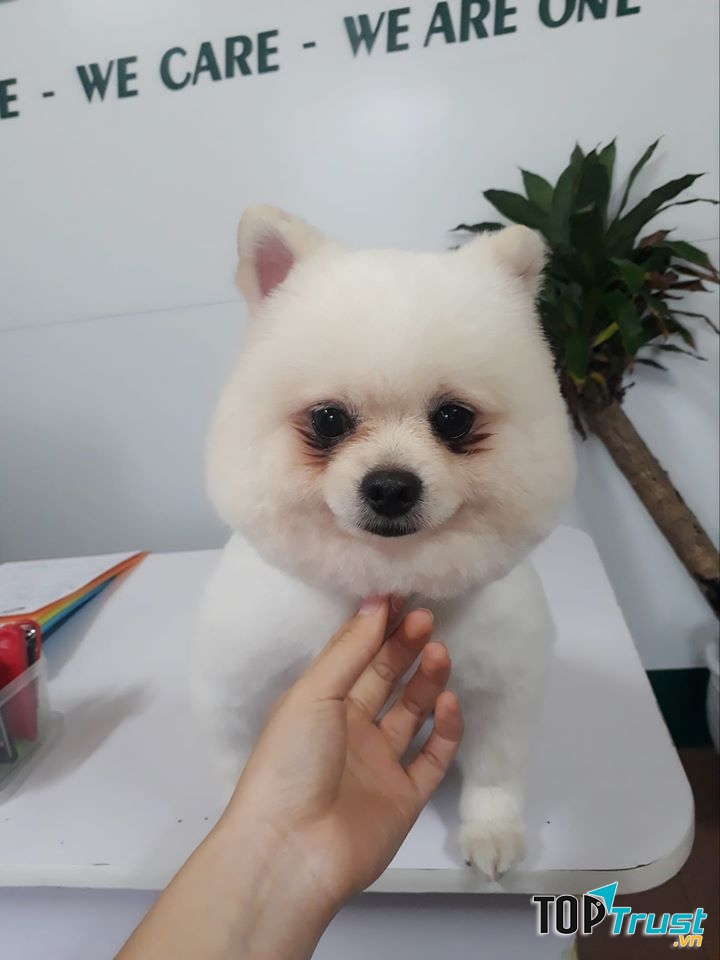 Bệnh viện thú y Pethealth