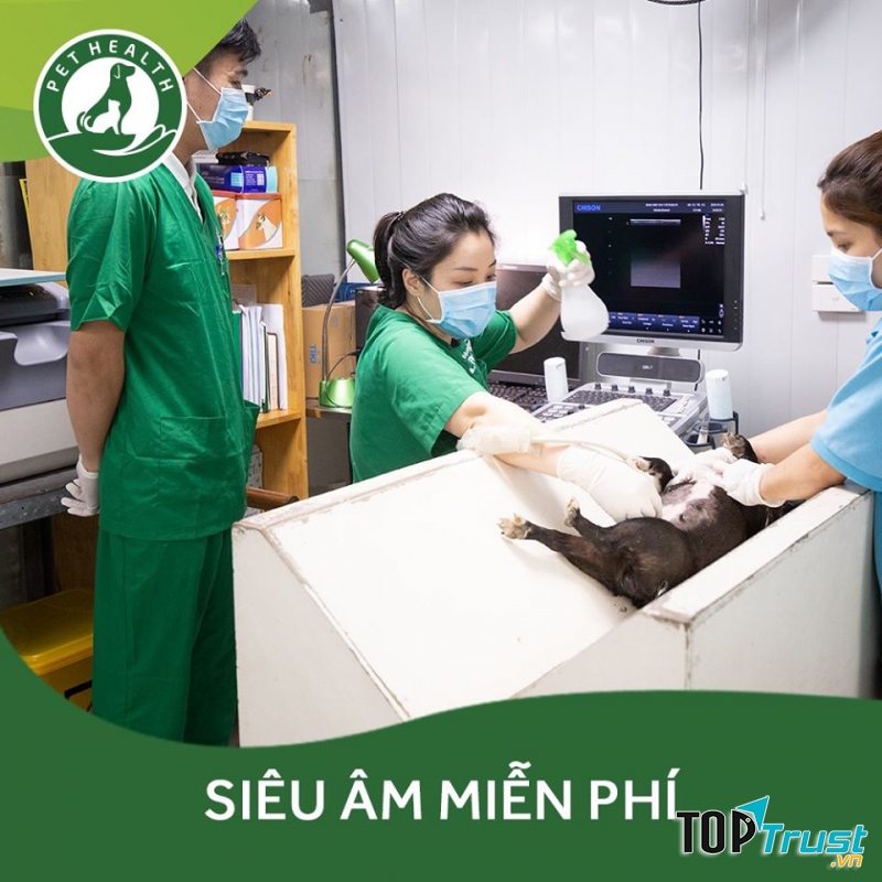 Bệnh Viện Thú Y PetHealth