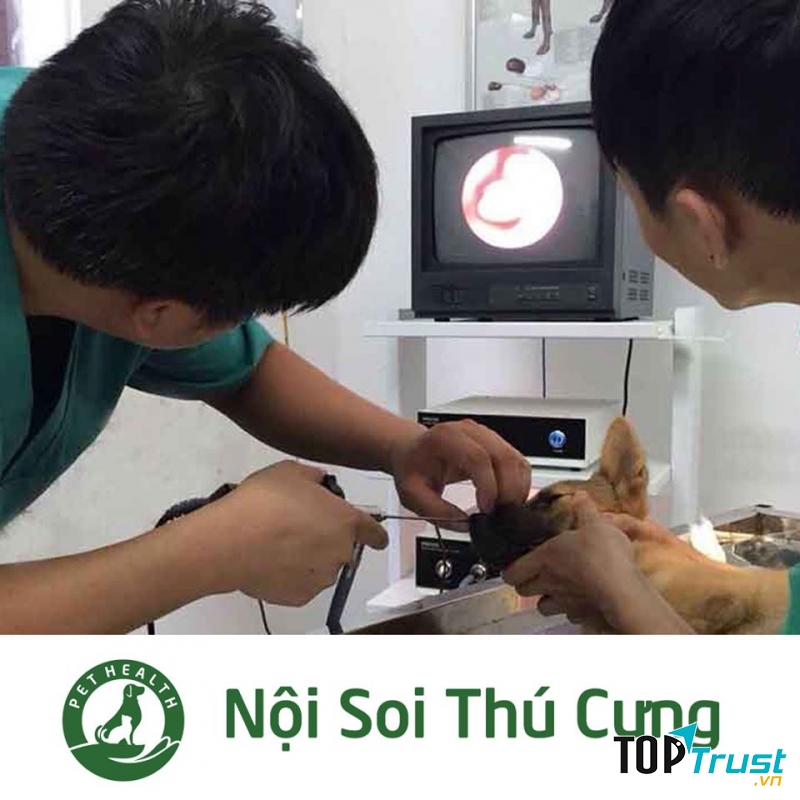Bệnh viện thú y Pethealth Thanh Hóa