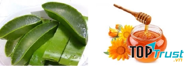 Nha đam kết hợp với mật ong chữa được bệnh xơ gan cổ chướng