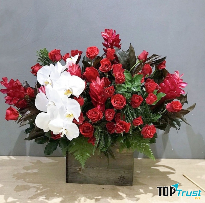 Hoa chậu tại Benthanh Flower sẽ khiến bạn cảm thấy vui vẻ cả ngày