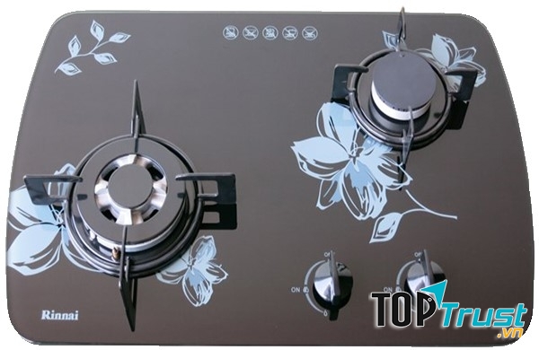Bếp ga âm Rinnai RVB-6SDR(F)