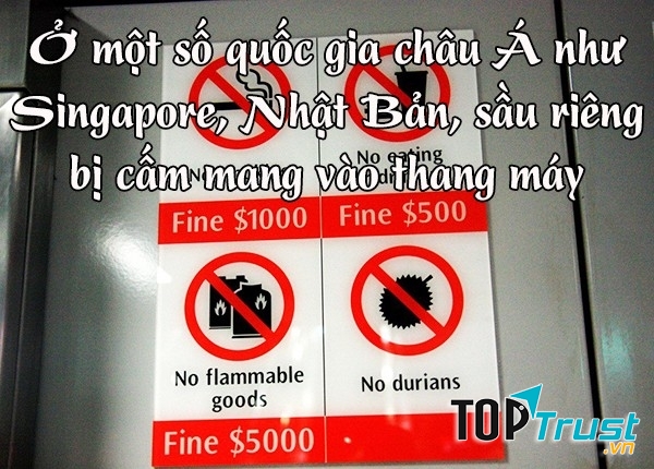 Bị cấm mang vào nơi công cộng