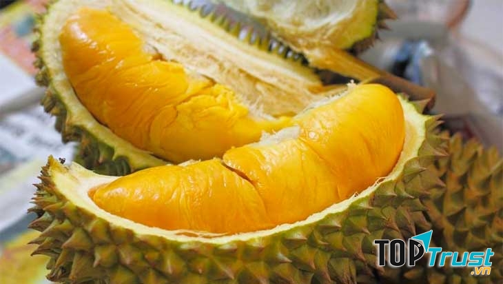 Bị cấm mang vào nơi công cộng