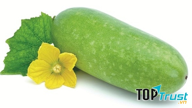 Bí đao biến đổi gen (Nguồn: soha.vn)