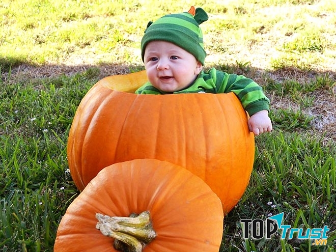 thiên thần nhỏ trong quả bí ngô