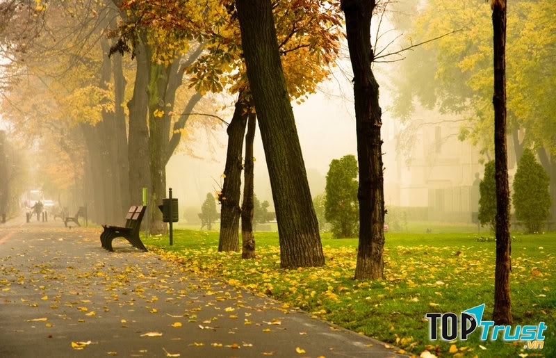 Ảnh minh họa ( nguồn: Internet)