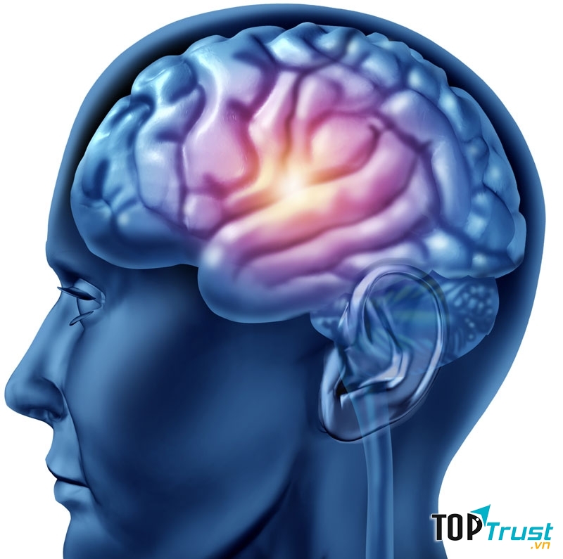 Đưa thật nhiều khí oxi vào bộ não để cải hiện chức năng não bộ