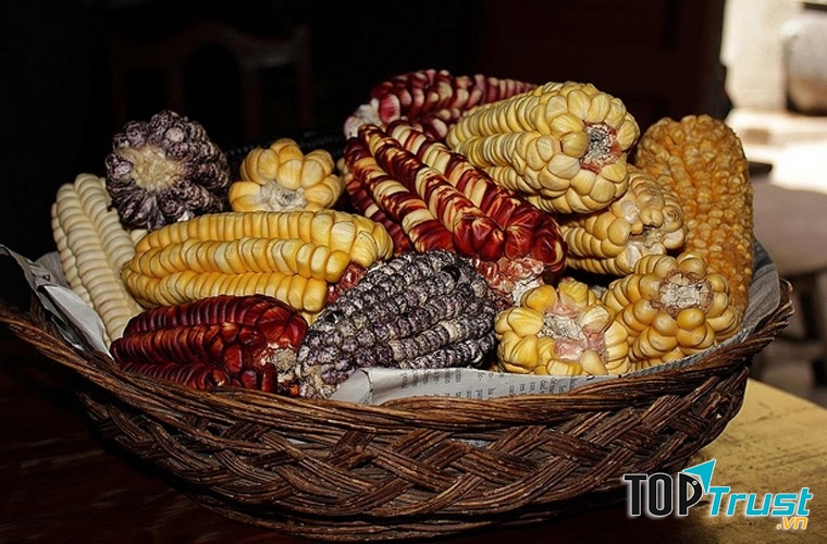 Bia lên men từ nước bọt các thiếu nữ ChiCha De Muko