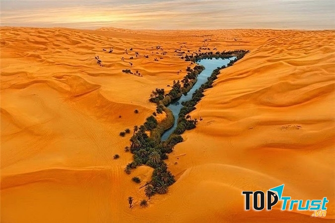 Biển cát ở sa mạc Sahara