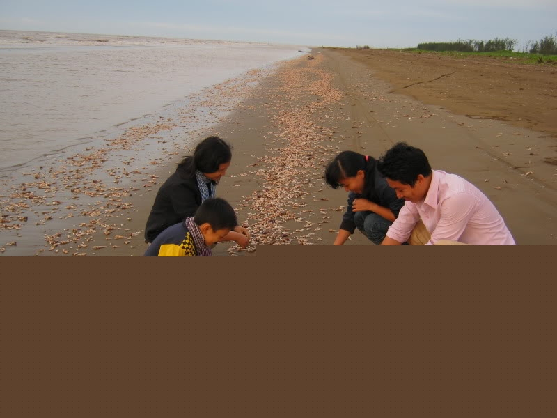 Con đường ốc viết