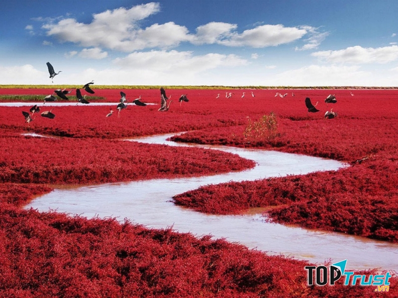 Biển đỏ (Trung Quốc)