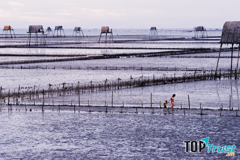 Sỡ sờ trước vẻ đẹp hoang sơ của biển Đồng Châu