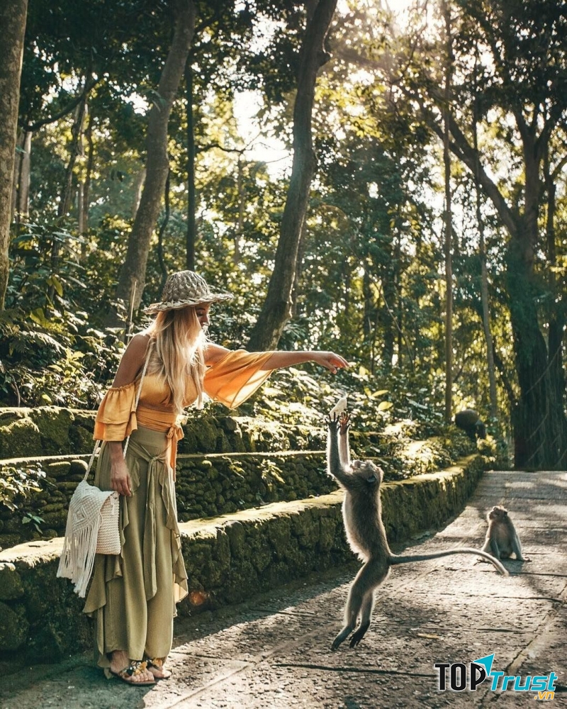Rừng khỉ Ubud