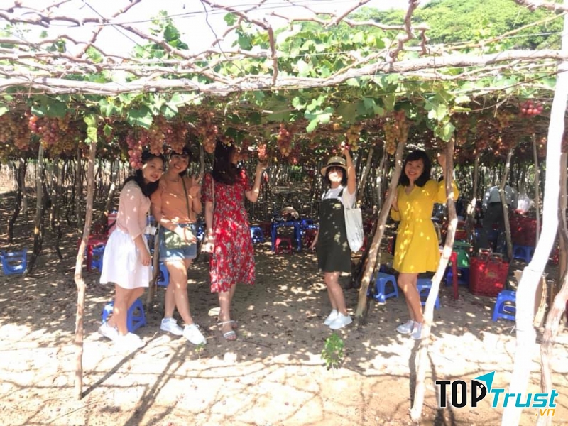 Biển Ninh Chữ (Ninh Thuận)