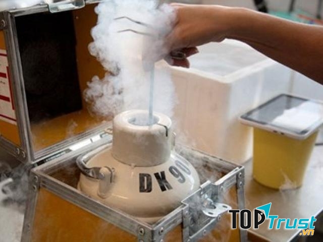 Biện pháp thụ thai nhờ ngân hàng trứng hoặc tinh trùng của người khác