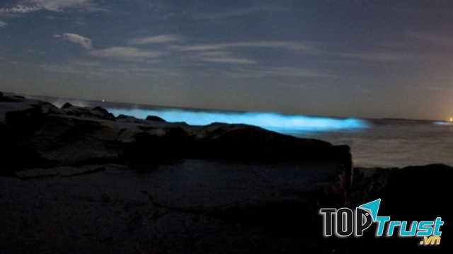 Biển Sữa phát sáng trong đêm.