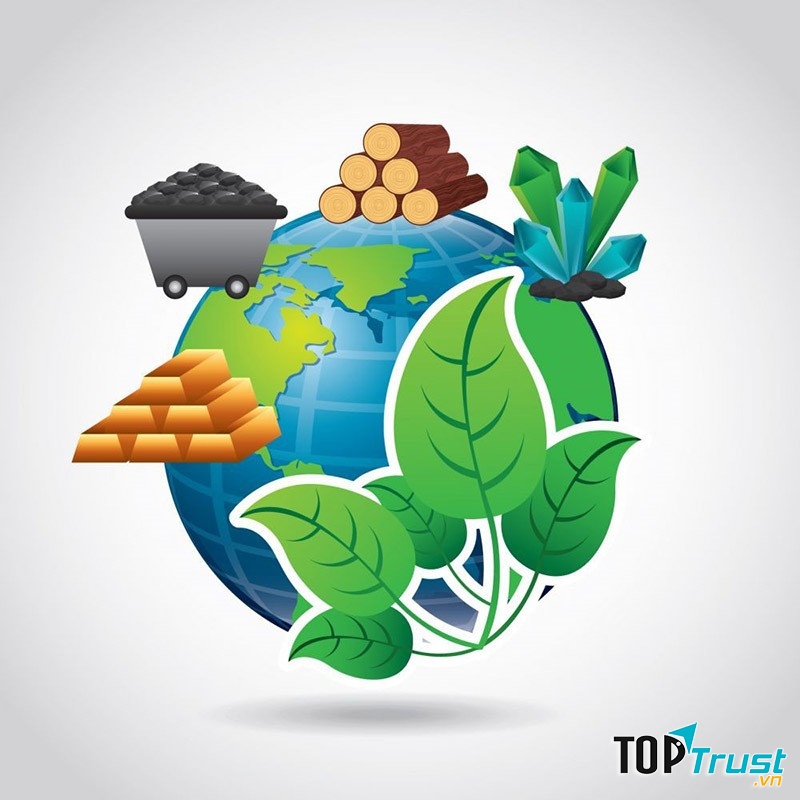 Biết cách tổng hợp nguồn tài nguyên