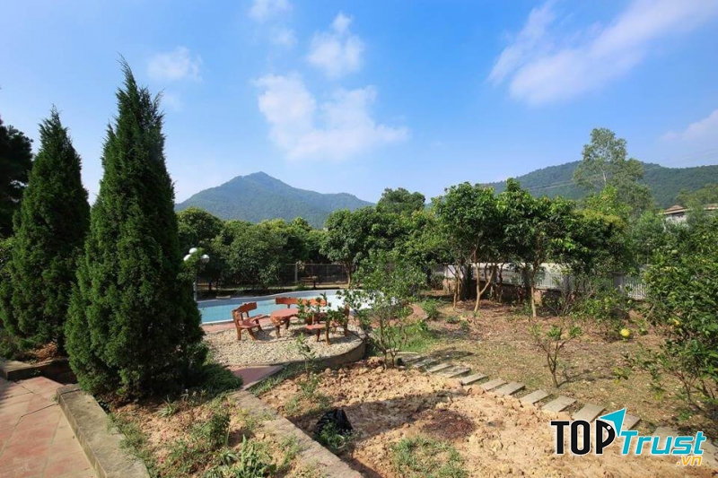 Biệt thự thông Forrest
