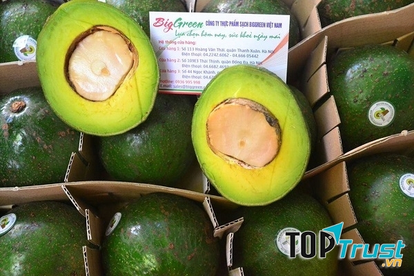 Bơ Booth Đắk Lắk tại Biggreen