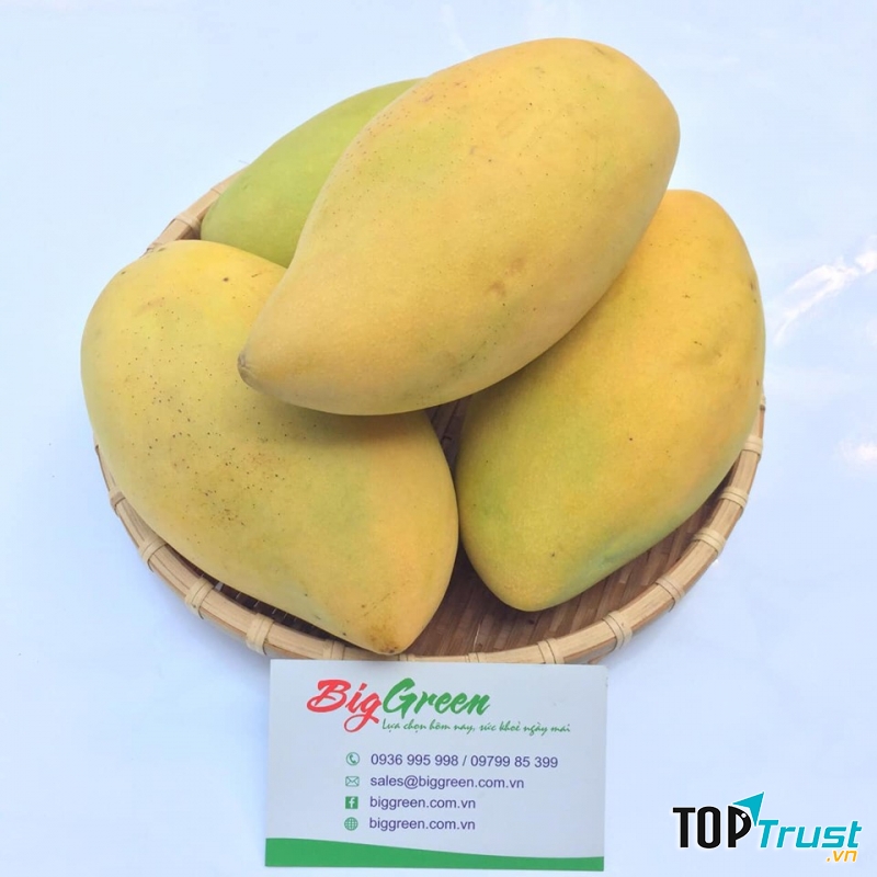 Xoài sạch tại BigGreen