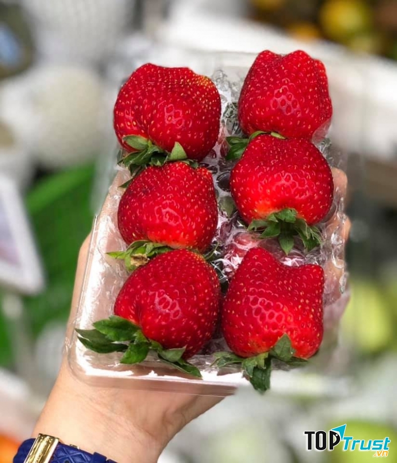 BigGreen - Rau, quả, thực phẩm sạch