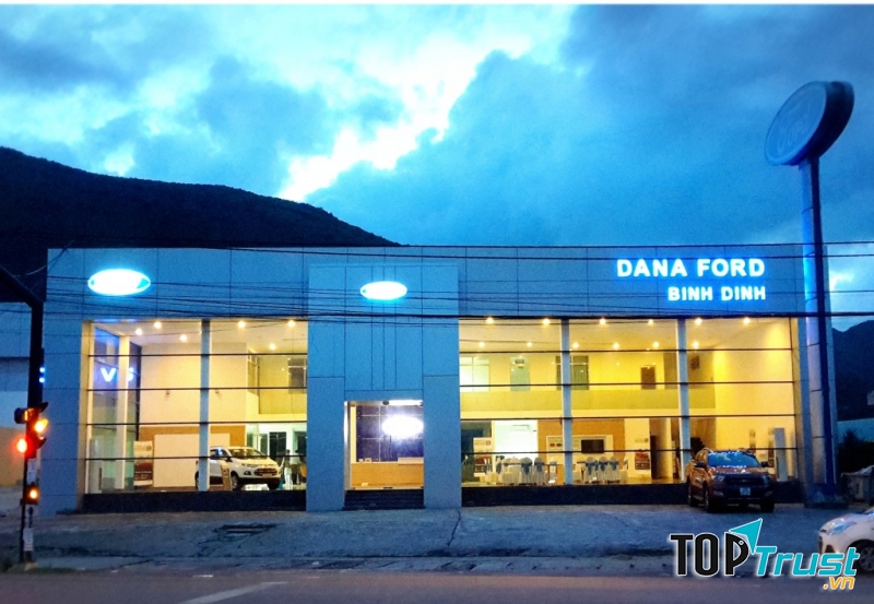 DANA Ford Bình Định