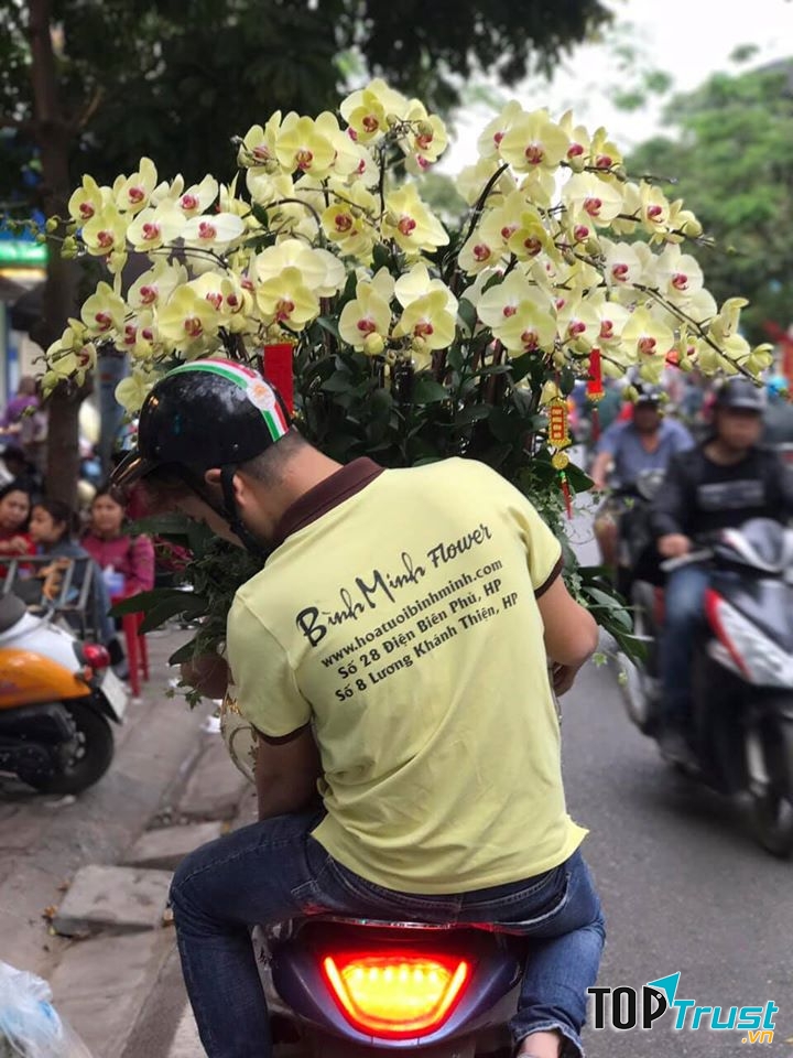 Bình Minh Flowers Shop- Hoa Bình Minh Hải Phòng