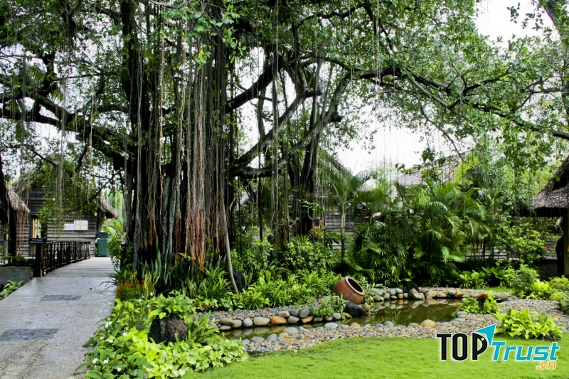 Bình Qưới 2 Resort