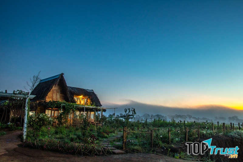 Khung cảnh thơ thật thơ của Bình Yên House